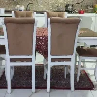 میزناهارخوری