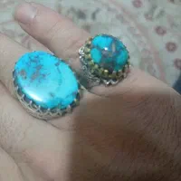 فیروزه نیشابوری