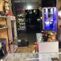 اجاره مغازه|اجارهٔ مغازه و غرفه|رشت, آب آسیاب|دیوار