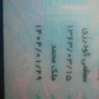 کیف پول دستی                         پیدا شده