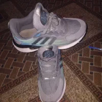 کتونی زرنگی