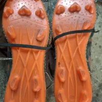 کفش چمن|کیف، کفش، کمربند|مشهد, کارمندان دوم|دیوار