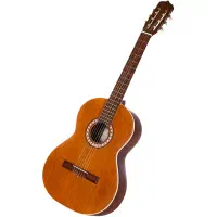 داوطلب گیتار زدن