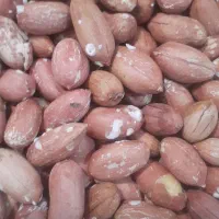 بادام زمینی آستانه درجه یک