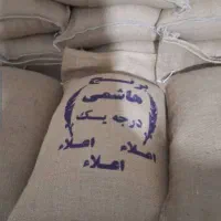 برنج ایرانی