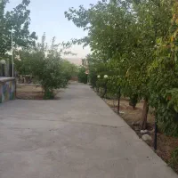 باغ زیرقیمت باغ بازار|فروش زمین و ملک کلنگی|سیاخ دارنگون, |دیوار