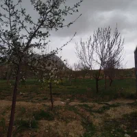 زمین ویلایی سند دار در فریدونشهر بام ایران