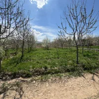 اپارتمان پیش فروش