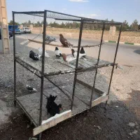 واگذاری پرنده فروشی و گاری