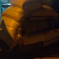 کاه یونجه درجه یک شرطی