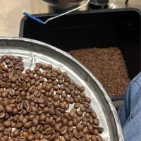 فروش دان قهوه رست شده