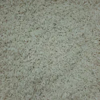 برنج هاشمی گیلان