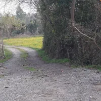 خودرو شما معاوضه بازمین درتنکابن