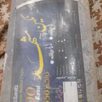 فرش ۱۲ متری جدید و نونو|فرش|مشکیندشت, |دیوار