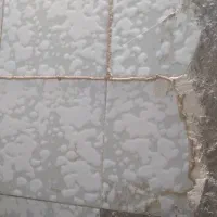 شرکت خدماتی موریانه زدایی سم پاشی انواع حشرات|خدمات پیشه و مهارت|دزفول, |دیوار