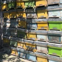 فروش جعبه و کندو عسل کارکرده