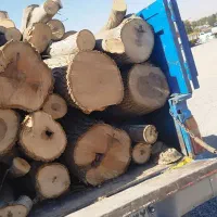 خرید انواع چوب