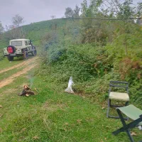 پاژن ۶ سیلندر|خودرو سواری و وانت|رامسر, |دیوار