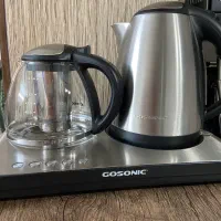 چایساز گاسونیک