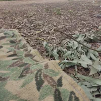 زمین مسکونی شهرحر بیت چریم300