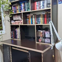 تخت یک و دونفره و پاتختی و کتابخانه و میز کار|تخت و سرویس خواب|رشت, سعدی (تختی)|دیوار