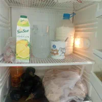 یخچال ازمایش صحیح وسالم بوشهر