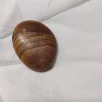 سنگ موکل دار|بدلیجات|کرج, شهرک نهال و بذر|دیوار