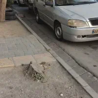 چری کوین مدل ۱۳۸۸ نقدی فقط|خودرو سواری و وانت|مشهد, حرم مطهر رضوی|دیوار