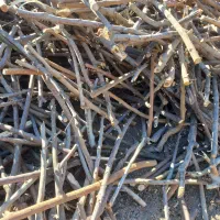 خرید درخت وشاخه چوب گلخانه تیرسقفی