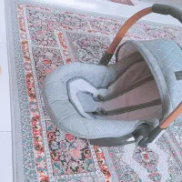 فروش یک عدد کریرسالم سالم تمیز