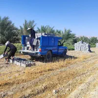 قالب چاه و بلوک دیواری|مصالح و تجهیزات ساختمان|بهبهان, |دیوار