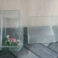 اکواریوم سه عدد سالم