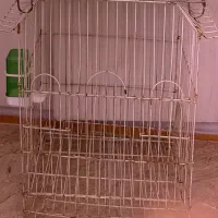 قفس پرنده