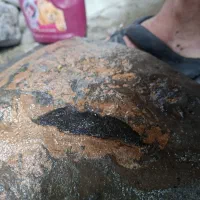 قطعه سنگ مشکوک به شهاب