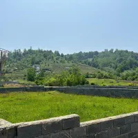 زمین ۲۵۰ متر قلعه گردن چکی تک برگ