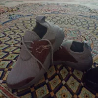 کفش نو سایز ۳۸