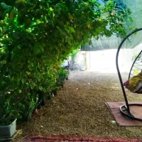 خانه ۱۸۰متری نوساز|فروش خانه و ویلا|بندر گناوه, |دیوار