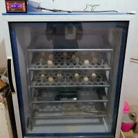 دستگاه جوجه کشی ۴۲۰عددی