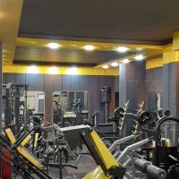 زیر-زمین-تجاری-موقعیت-خیابان-دانشگاه-زیر-قیمت