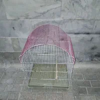قفس عروس هلندی