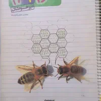 کتاب علوم و ریاضی پایه نهم|کتاب و مجله آموزشی|اقبالیه, |دیوار