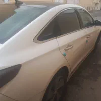 سلام فروشی عروسک