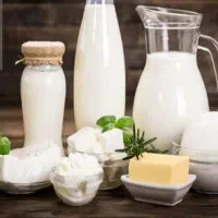 نیروی کار جهت لبنیات سنتی