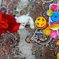 چند عدد اسباب‌بازی دخترانه|اسباب‌بازی بچه|بوکان, |دیوار