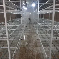 ایزوگام ، قیرگونی و بازسازی|خدمات پیشه و مهارت|تهران, نارمک|دیوار