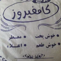 برنج کامفیروزی|خوردنی و آشامیدنی|شیراز, گویم|دیوار