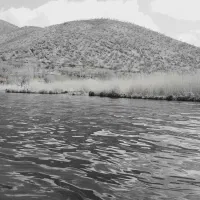 نیازمندگوشی اضافه