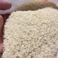 برنج کامفیروزی درجه یک به شرط پخت