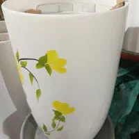 خاک گل و کوزه