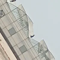 تعمیرات گلخانه نصب پلاستیک و پوشش